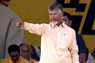 What Is The 'Skill Census' That NDA Member Chandrababu Naidu Has Promised In Andhra Pradesh?