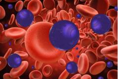 Nanorobots Can Shrink Bladder Tumours By 90%, Shows Study