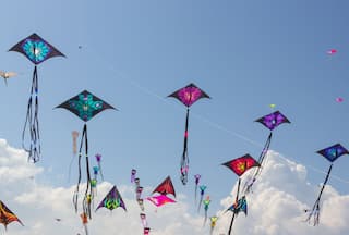 Makar Sankranti 2024: Check Date, Timing, Rituals And Significance Of The Auspicious Festival