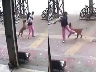 खौफनाक वीडियो: मां की बहादुरी ने बचाई बच्चे की जान, अवारा कुत्ते से गई भिड़