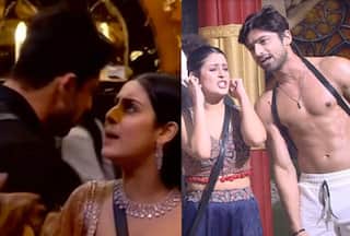 Bigg Boss 17: Isha Claims Abhishek Has 'Slapped' Her at a New Year Party