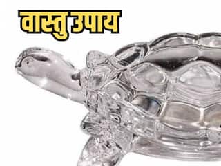 Vastu Tips for Finance: घर-परिवार में धन आकर्षित करने के लिए जरूर ले आएं ये खास वस्तु