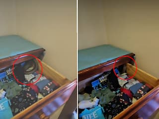 Sanp Ka Video: बेटी का दराज खोलते ही हिल गई महिला, कपड़ों में छिपा था सबसे जहरीला सांप | देखें वीडियो