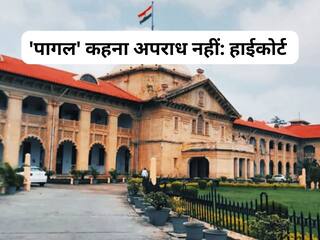 'पागल' कहना अपराध नहीं, इलाहाबाद हाईकोर्ट का बड़ा फैसला, जानें पूरा मामला