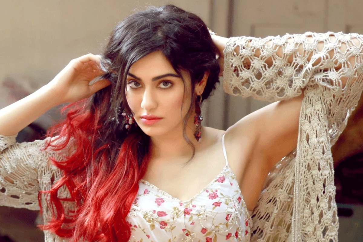 69th Filmfare Awards 2024: 'The Kerala Story' को नॉमिनेट ना करने अदा शर्मा के फैंस नाराज