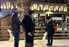 Aditya Roy Kapur and Ananya Panday Romance in London Winters While Doing Ice Skating; Mushy Photo Gets Viral