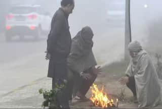 Cold Wave Alert! Heart Attack Cases on Significant Rise, Experts Issue Warning