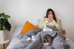 H5N1 Bird Flu: Is It Transferable to Humans? 5 Precautionary Tips