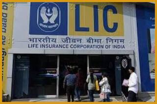 LIC ने लॉन्च की जीवन धारा II पॉलिसी, गारंटीड इनकम के साथ न्यू एन्यूटी प्लान, चेक करें डिटेल्स