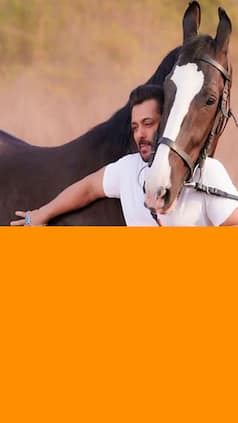 Inside Salman Khan's Panvel Farmhouse Where 2 Men Entered With Fake Ids