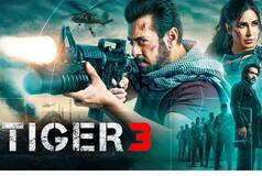 Salman Khan's Tiger 3 To be Released on THIS OTT Platform