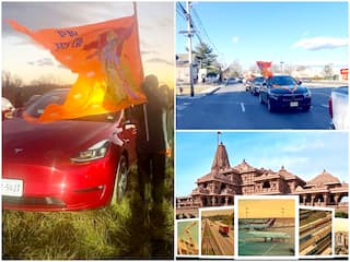 Car Rally To Tesla Light Show: Here's How Indians In US Celebrating Ram Temple Inauguration