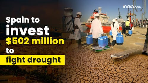 india.com top news