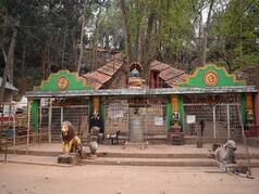 Gupteswar Forest: New Biodiversity-Heritage Site in Odisha