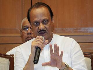 'मुझे केवल शिंदे, फडणवीस...', BJP नेताओं की ओर से काले झंडे दिखाए जाने पर बोले अजित पवार