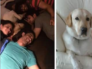 अंकिता लोखंडे और सुशांत सिंह राजपूत के पेट डॉग स्कॉच का निधन, एक्टर ने दिया था गिफ्ट