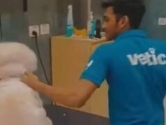SHOCKING VIDEO! 2 Men Punch, Kick Dog At Thane Pet Clinic; Arrested
