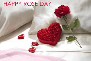 Happy Rose Day 2024: 10 Romantic Quotes, Wishes, WhatsApp Messages to Share With Your Loved Ones