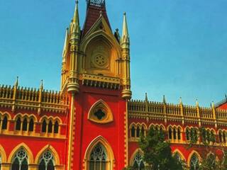 दुर्गा पूजा के लिए पेड़ काटने पर कलकत्ता हाईकोर्ट ने ऑर्गनाइजर को लगाई फटकार, दी ये सजा