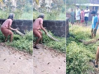 Azgar Ka Video: झाड़ियों में छिपे विशालकाय अजगर को खींच पाएंगे चाचाजी? जो हुआ खुद ही देख लीजिए | वीडियो