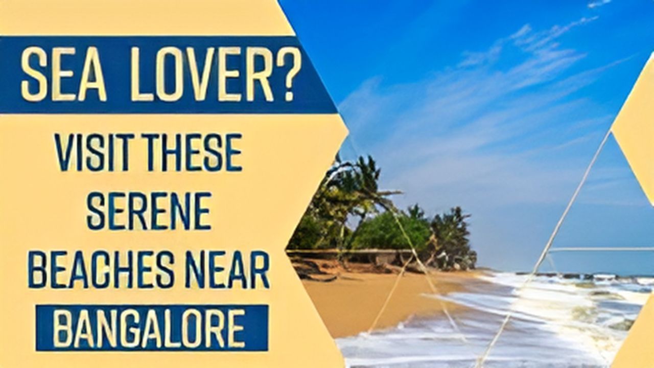 Best Beaches In Bangalore: Are you a Beach Lover? Take A Trip To These ...