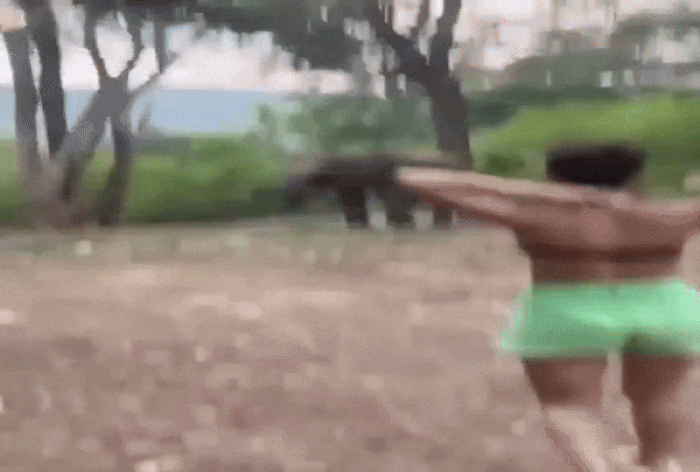 Video: Elephant Attacks Woman; What Happens Next..?