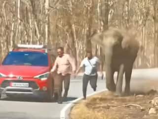 Hathi Ka Video: सेल्फी लेने आए लोगों पर भड़क उठा हाथी, एक को दौड़ाकर पकड़ भी लिया | देखें वीडियो