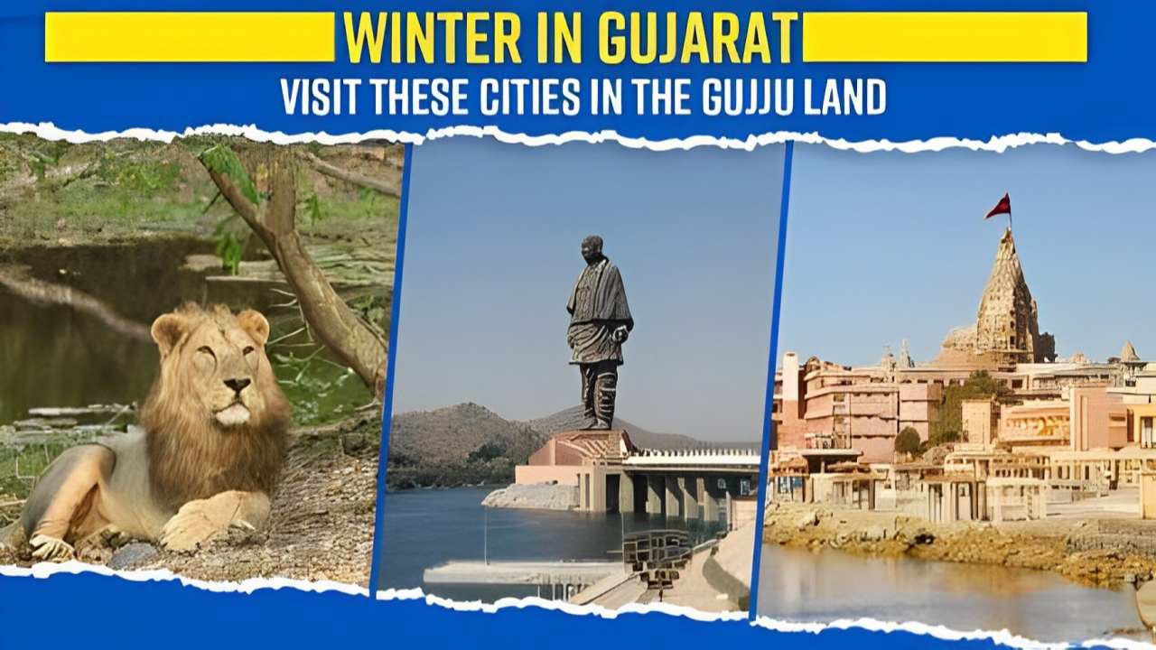 Discover Gujarat's Exotic Locations: Top 5 Must-Visit Spots Unveiled!
