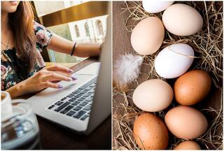 4 Dozen Eggs At Rs 48,000! Bengaluru Woman Duped Online Trying To Save Some Extra Bucks