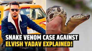 Elvish Yadav Arrested: What Exactly is this Case; Why is Snake Venom Used at Rave Parties?