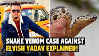 india.com top news
