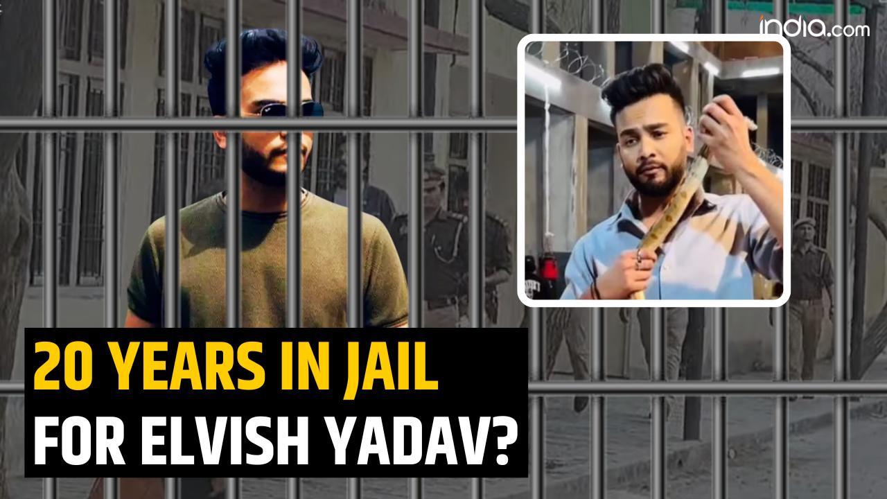 Elvish Yadav arrested: Upto 20 years in jail if proven guilty in rave party case