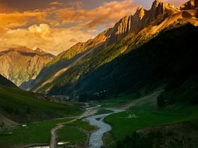 india.com top news