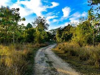 Discover The Top 5 Must-Visit Destinations In Dibrugarh