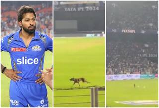 WATCH: अहमदाबाद के मैदान में घुसा कुत्ता, दर्शकों ने लगाए 'हार्दिक-हार्दिक' के नारे, वीडियो वायरल