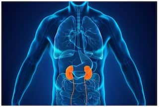 World Kidney Day 2024: क्या किडनी डोनेशन के बाद नॉर्मल लाइफ जी सकता है व्यक्ति? डॉक्टर से जानें