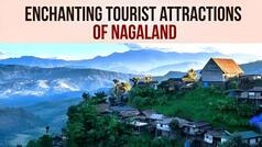 Exploring Nagaland: Witness the Beauty of These Enchanting Locations - Watch Video