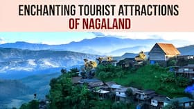 india.com top news