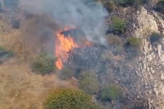 Massive Fire Breaks Out At Sri Kabaleeswari Amman Temple Hill In Madurai: WATCH