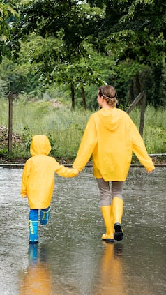 Bengaluru Weather Update Today Ahead Of RCB vs PBKS IPL Match 2024