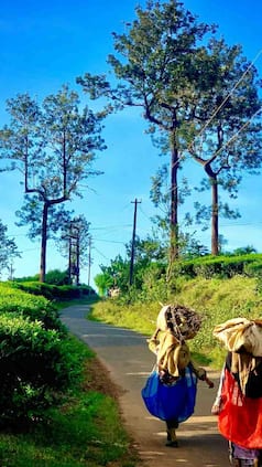 india.com webstories