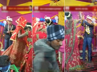 Bride Groom Video: वरमाला सेरेमनी में ज्यादा ही उतावला हो गया दूल्हा, हरकतें ऐसी चौंक ही जाएंगे | देखें वीडियो