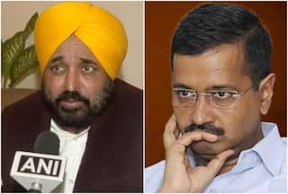 'Yes We Are Kingpins..': Punjab CM Bhagwant Mann On Arvind Kejriwal's Arrest