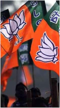 india.com webstories