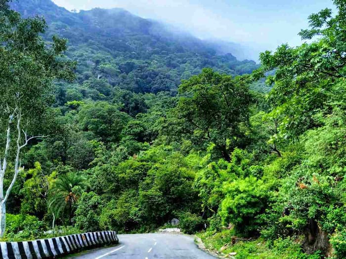 Discover Mount Abu's Enchanting Charm: The Top Must-Visit Destinations!