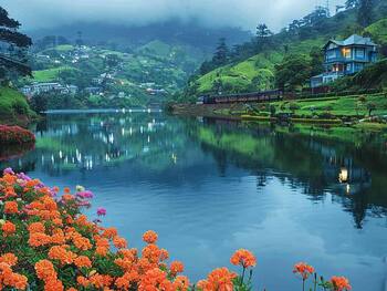 Discover The Top Secrets Behind Ooty Worldwide Fame