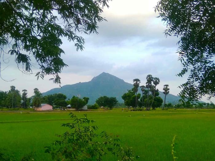 9 Tourist Attractions You Shouldn't Miss In Tiruvannamalai