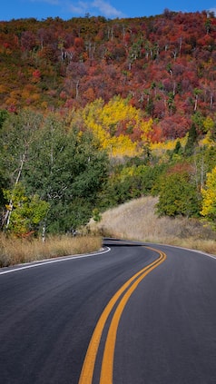 Faridabad-Noida-Ghaziabad Expressway to Reduce Travel Time to 30 Minutes