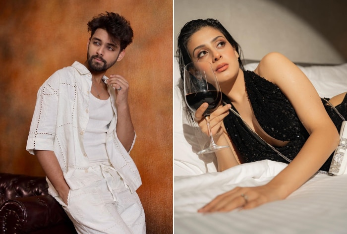 Samarth Jurel - Isha Malviya Break Up 2 Months After Bigg Boss 17 Finale
