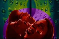 LSD 2 Box Office Collection Day 4: Dibakar Banerjee's Film Earns 73 Lakh Till Now